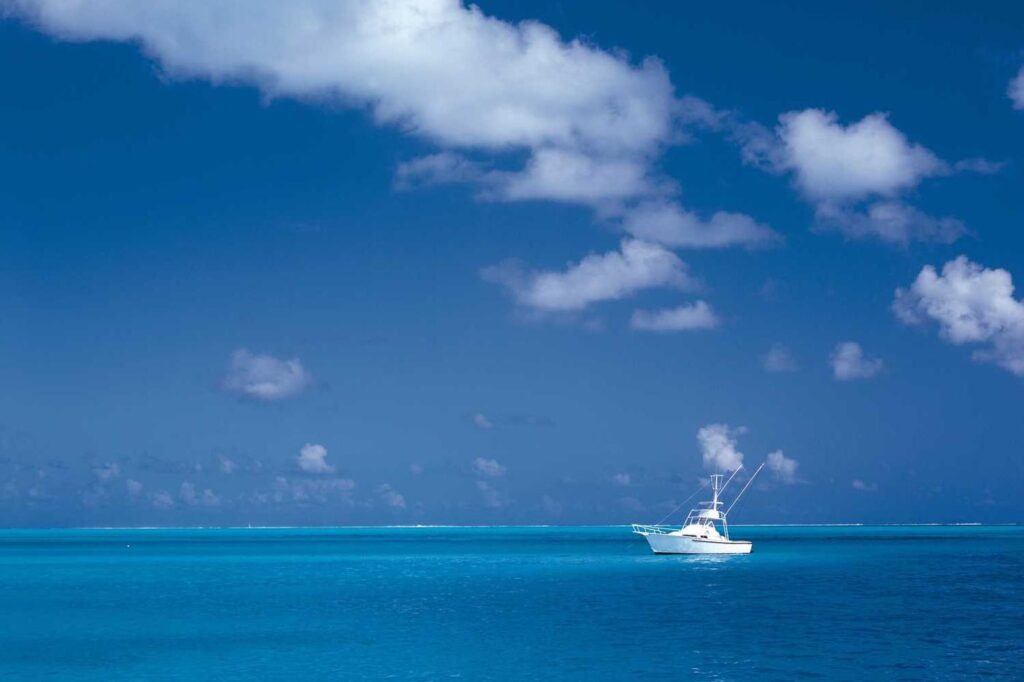 Apple and Nvidia could be OpenAI’s next big investors